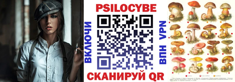 Купить  Кедровый  Псилоцибиновые грибы прущие грибы 